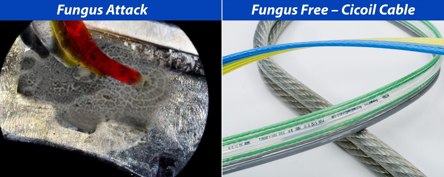 Fungus Resistant Flexx-Sil™ Cables
