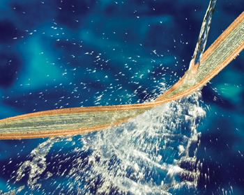 Cicoil High-Flex Cables Deliver Superior Water Resistance