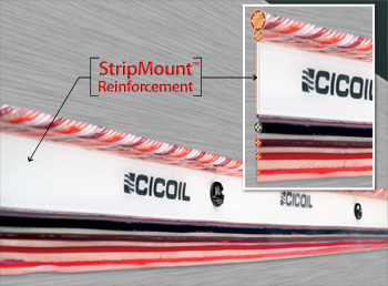 Cicoil's New 